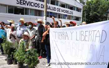 Campesinos levantan la mano para ser 'pueblos cannábicos' - El Sol de Cuernavaca