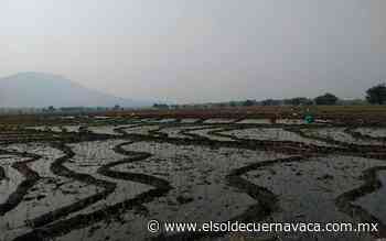 Conflicto Hueyapan y Tetela del Volcán - El Sol de Cuernavaca