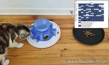 Lazy' cats would rather get a free meal than have to work for their food, study says