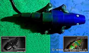 Camouflage: Incredible chameleon-inspired robot changes colour in real time to match its background