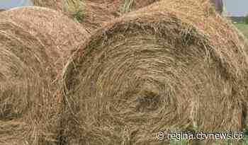 Sask. RCMP alert producers of hay purchasing fraud