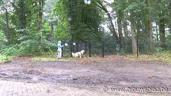 Wijnegemse viervoeters kunnen los in hun eigen bos zonder anderen te storen