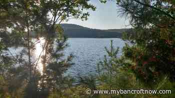 Federation of Ontario Cottagers’ Associations raise awareness on boat wake damage