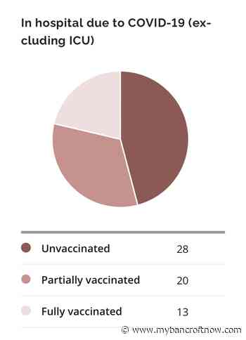 Ontario to provide detailed vaccination data on new COVID-19 cases