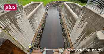 Neues Bauwerk zum Schutz gegen Hochwasser im Odenwald - Echo Online