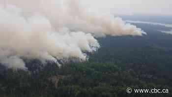 Wabaseemoong Independent Nations calls for evacuation due to forest fire