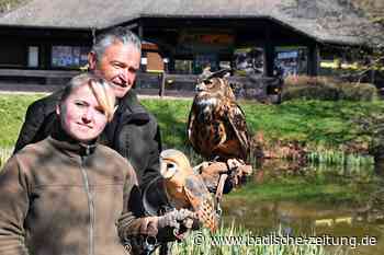 Die Saison im Vogelpark Steinen ist spät gestartet, aber läuft gut - Steinen - Badische Zeitung