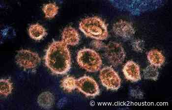 Cholesterol drug reduces coronavirus infection by 70%, new study finds - KPRC Click2Houston