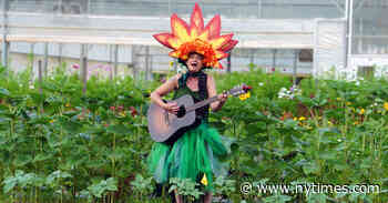 Lend Us Your Ears, and Don’t Forget Your Farm Boots