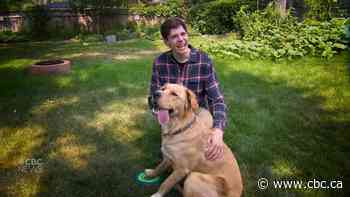 Why it's called the dog days of summer