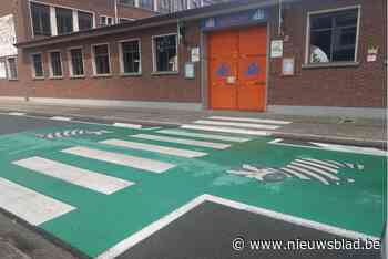 Gemeente plaatst opvallende zebrapaden in schoolomgevingen (Mol) - Het Nieuwsblad