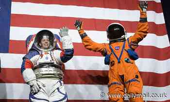 Elon Musk bids for SpaceX to make NASA's spacesuits - after watchdog says agency's would be delayed