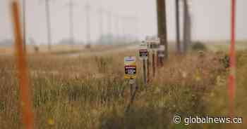 Minnesota regulator reports new spills along Line 3 construction route