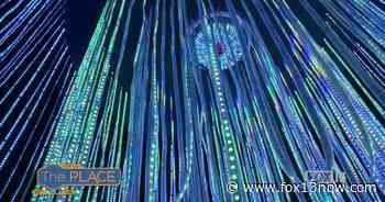 This August, Ogden Contemporary arts invites you an "immersive head trip fantasy experience" - fox13now.com