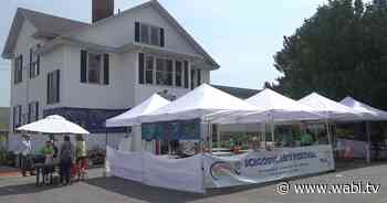 Schoodic Arts Festival returns to being an in-person event - WABI