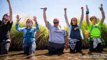 New spills into wetlands, river crossings reported along Line 3 pipeline construction route