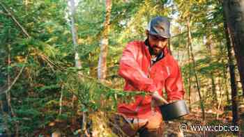 'Hope is not a plan': Northerners call for action after harrowing UN climate report