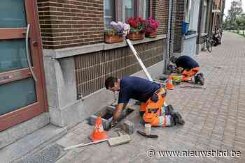 Ronse mikt op 1.000 nieuwe geveltuintjes (Ronse) - Het Nieuwsblad