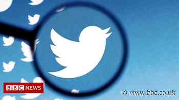 Twitter algorithm prefers slimmer, younger, light-skinned faces