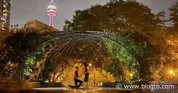 Cute proposal at the Toronto Music Garden caught on camera - blogTO