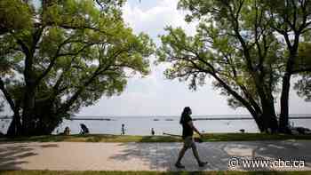 Environment Canada issues heat warning for Toronto as humidex values of 40 expected - CBC.ca