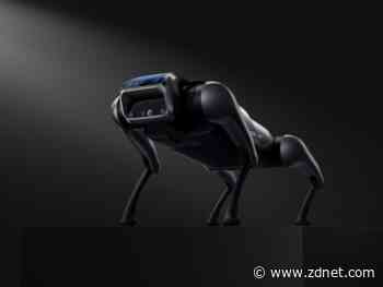 Xiaomi enters quadrupedal robotics space with CyberDog