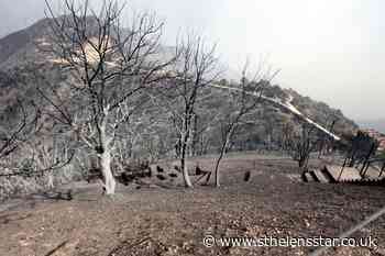 25 soldiers die fighting wildfires in northern Algeria - St Helens Star