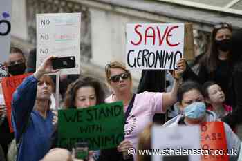 Could Geronimo be saved by being donated to science? - St Helens Star