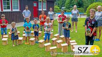 Kinder bauen Nisthilfen bei Familiensportbund Salzgitter - Salzgitter Zeitung