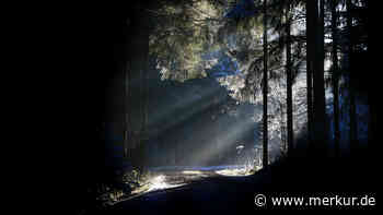 Schülerin fordert Licht für stockdunklen Weg - „die Leute haben Angst“ - Merkur Online