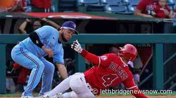 Upton, Gosselin each drive in 2, Angels top Jays in opener - Lethbridge News Now