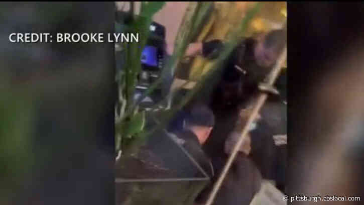 Violent Weekend Encounter On South Side Caught On Camera, Leads To Investigation
