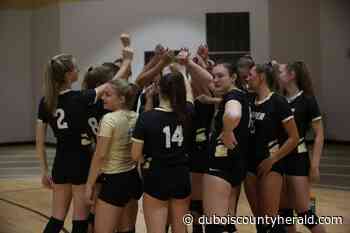 Hohl envisions 'different ballgame' for Jasper volleyball - The Herald