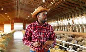 Ohio Researchers Bring Social-Work Lens to Farming - Cleveland Scene