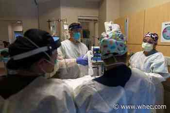 High trust in doctors, nurses in US, AP-NORC poll finds