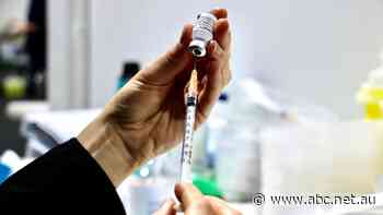 Mining magnate rules out mandatory workers vaccinations for now