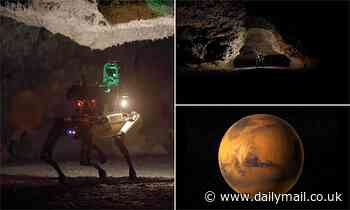 NASA teaching Boston Dynamics' robot dog Spot to explore caves on Mars as it looks for life 