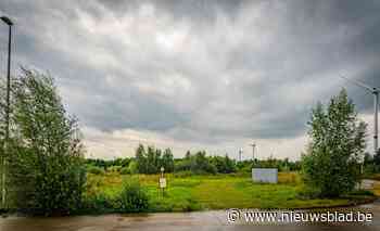 Beringen ontbost geen 20 maar 15 hectare voor industrie (Beringen) - Het Nieuwsblad