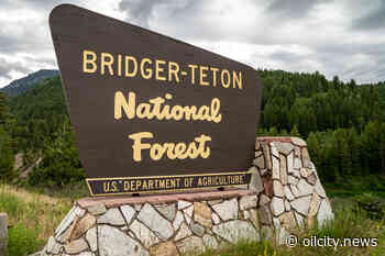 Forest managers respond to new fire start in Bridger-Teton Forest - Oil City News