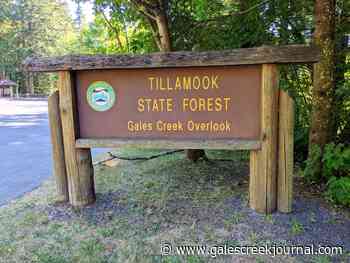 Eastern part of Tillamook State Forest and surrounding areas to enter 'Extreme Fire Danger' Wednesday - Gales Creek Journal