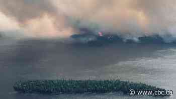 Hundreds of forest fire evacuees arrive in London, Ont. - CBC.ca