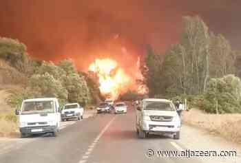 At least seven killed, two injured in Algeria forest fires - Al Jazeera English