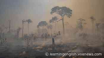 Worries Grow as Brazil's Forest Fire Season Starts - VOA Learning English