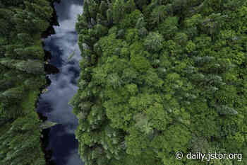 Climate Change's Dangerous Effects on the Boreal Forest - JSTOR Daily