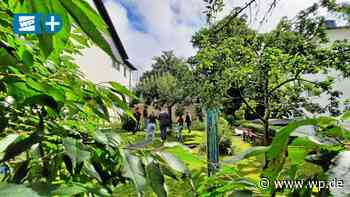 Siegen: Reallabor Achenbach zeigt Wandel in der Wissenschaft - Westfalenpost