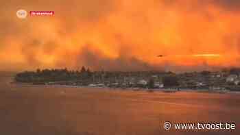 Ook gezin uit Dendermonde ziet in Griekenland branden angstvallig dichterbij komen - TV Oost