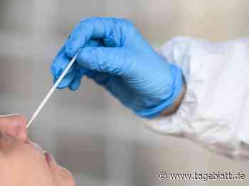 Geringe Werte – Corona-Infektionsgeschehen in Niedersachsen stagniert - Landkreis Stade - Tageblatt-online