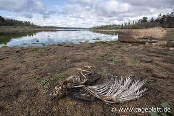 Weltklimabericht: Zeit für die Rettung des Planeten läuft ab - Landkreis Stade - Tageblatt-online