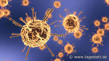 Sieben-Tage-Inzidenz im Landkreis Stade bleibt unverändert - Landkreis Stade - Tageblatt-online