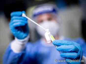 Ruf nach Ende der Gratis-Corona-Tests - TAGEBLATT: Nachrichten aus Stade, Buxtehude und der Region - Tageblatt-online